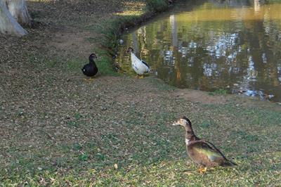 foto42
